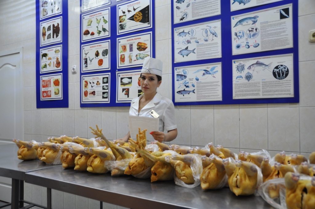 лаборатория ветсанэкспертизы на рынке. лаборатория ветсанэкспертизы на рынке. продовольственные рынки в угличе. всэ пищевых продуктов на рынках. ветеринарно-санитарная экспертиза.